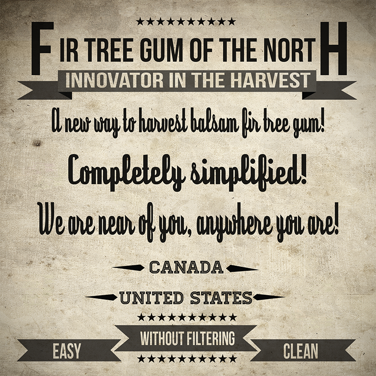 Balsam Fir Tree Resin